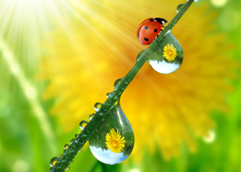 水滴角測試儀 水滴角測試儀